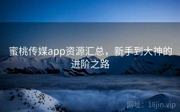 蜜桃传媒app资源汇总，新手到大神的进阶之路