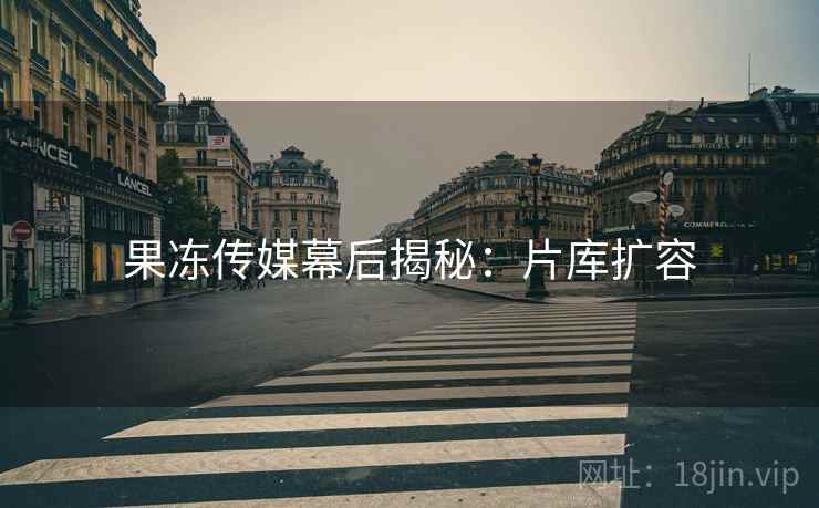 果冻传媒幕后揭秘：片库扩容
