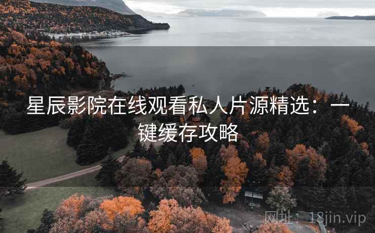 星辰影院在线观看私人片源精选：一键缓存攻略