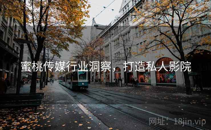 蜜桃传媒行业洞察，打造私人影院