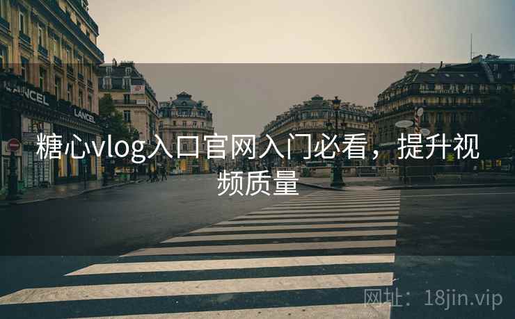 糖心vlog入口官网入门必看，提升视频质量