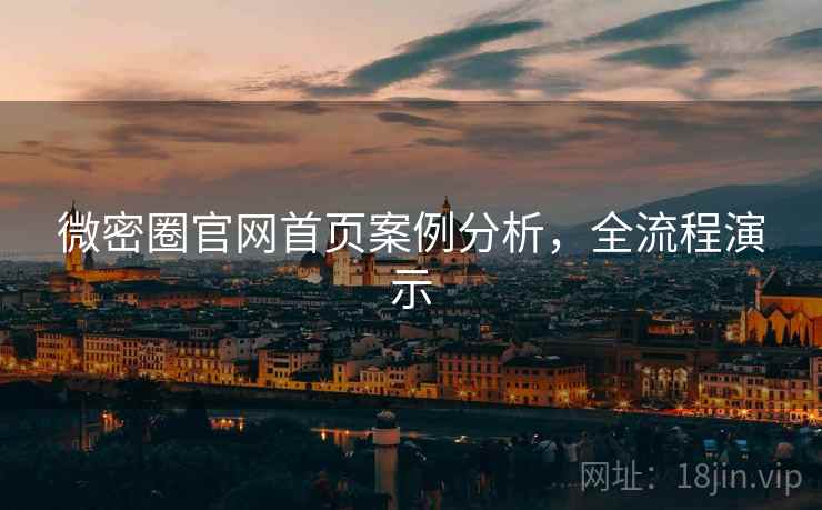 微密圈官网首页案例分析，全流程演示