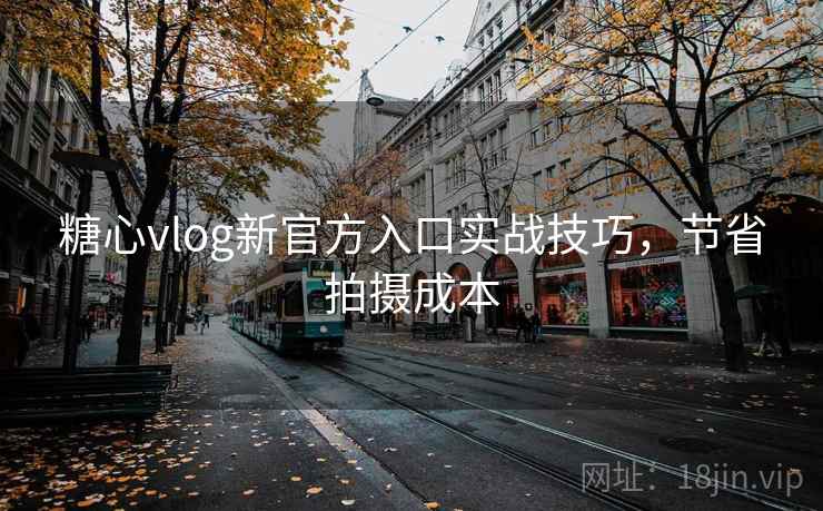 糖心vlog新官方入口实战技巧，节省拍摄成本